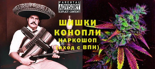 ECSTASY Рославль