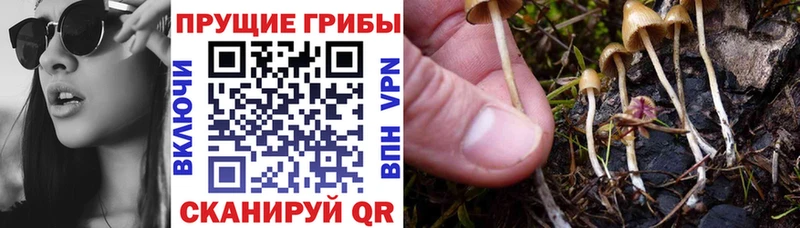 Галлюциногенные грибы мухоморы  Володарск 
